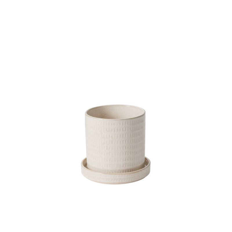 Morse Pot with Saucer – Frenchie's Floral Studio